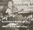 SURFINBIRD RADIO SHOW # 349 Blues With A feeling