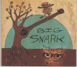 SNARKY DAVE & The Prickly Bluesmen