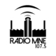 logo_radio_mne.jpg